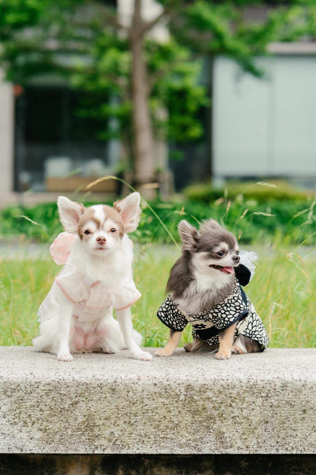 東京丸の内